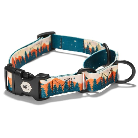 wolfgang-usa-overland-martingale-dog-collar-small-1