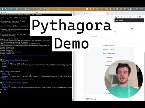 Pythagora Alpha Demo