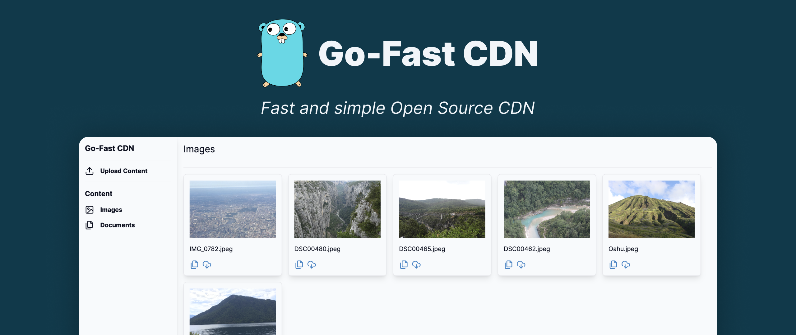 Go-Fast CDN - Fast and simple Open Source CDN