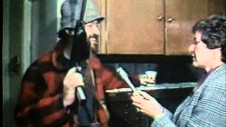 James Hoskins - The Killing of America.