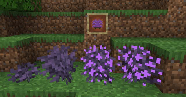 Lilac Hydrangea Bush