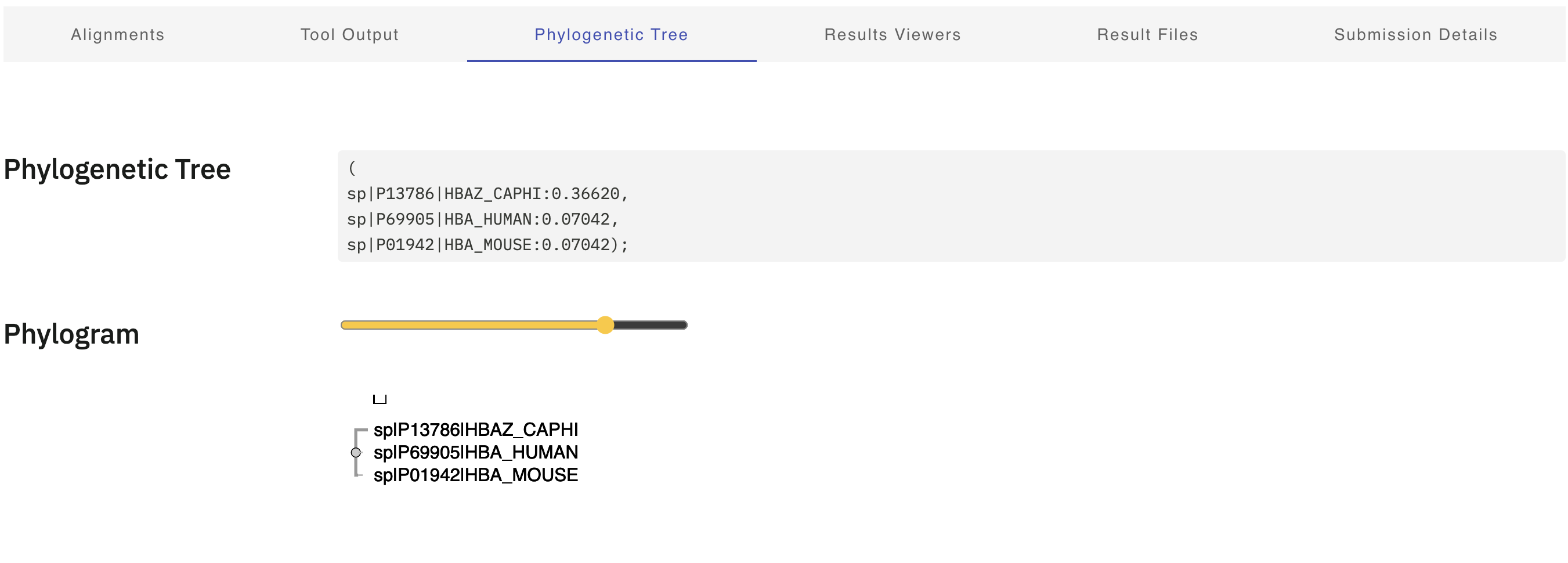 phylogenetic tree