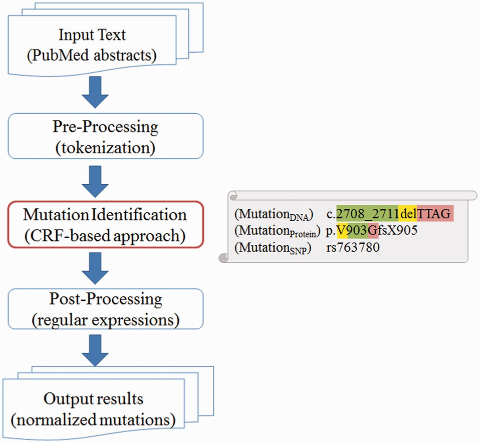 tmVar Pipeline