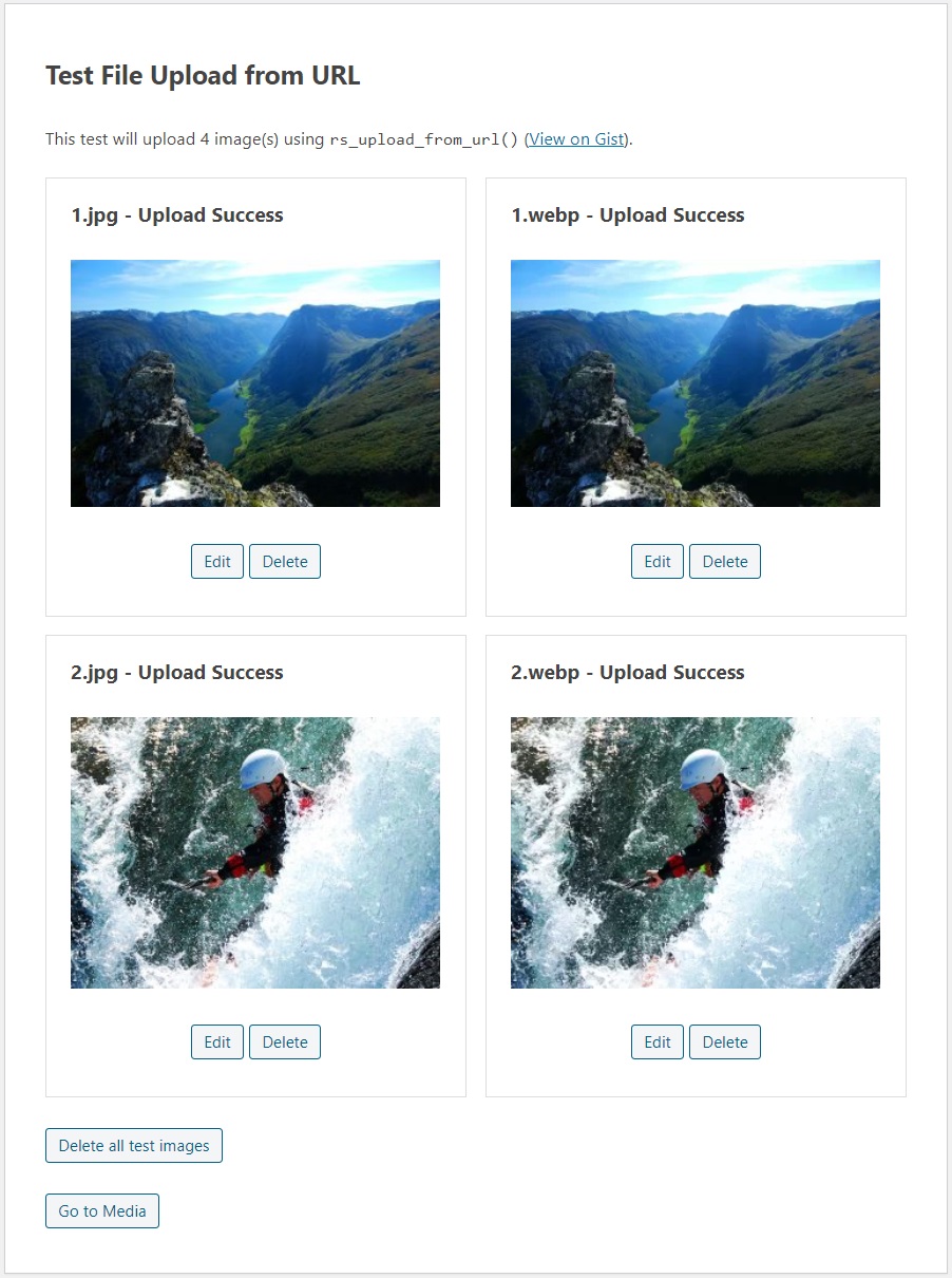 Screenshot of the test results screen showing four images that were uploaded.