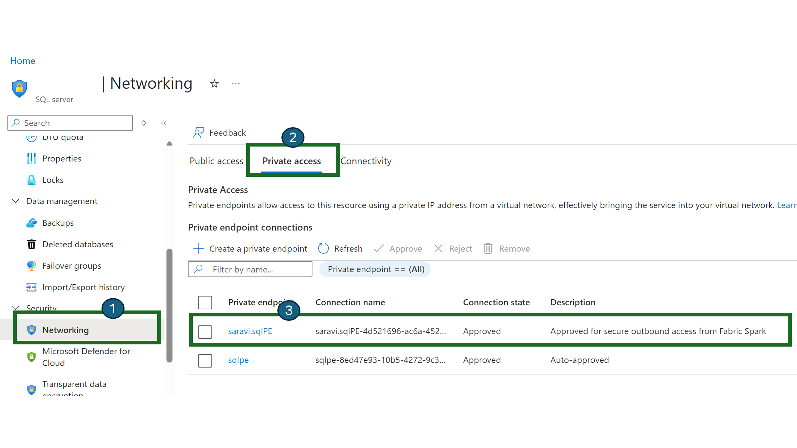 Screenshot showing the Private access tab on the Networking page of a resource in the Azure portal