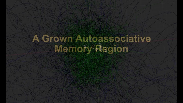 Autoassociative Memory Region