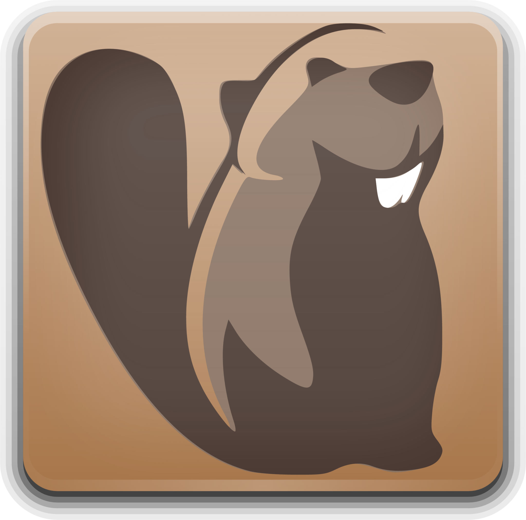 DBeaver icon