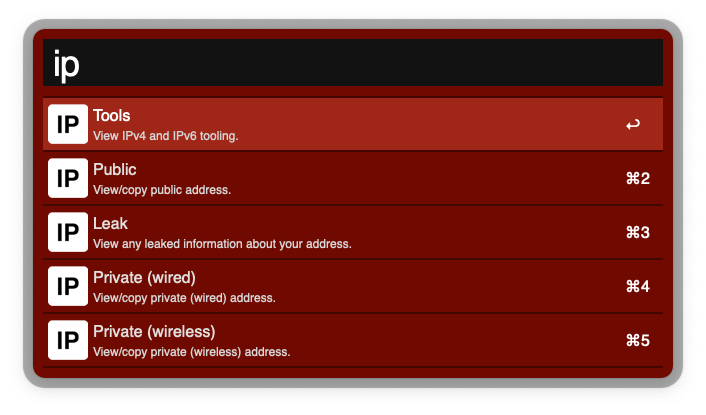 IP workflow screenshot.