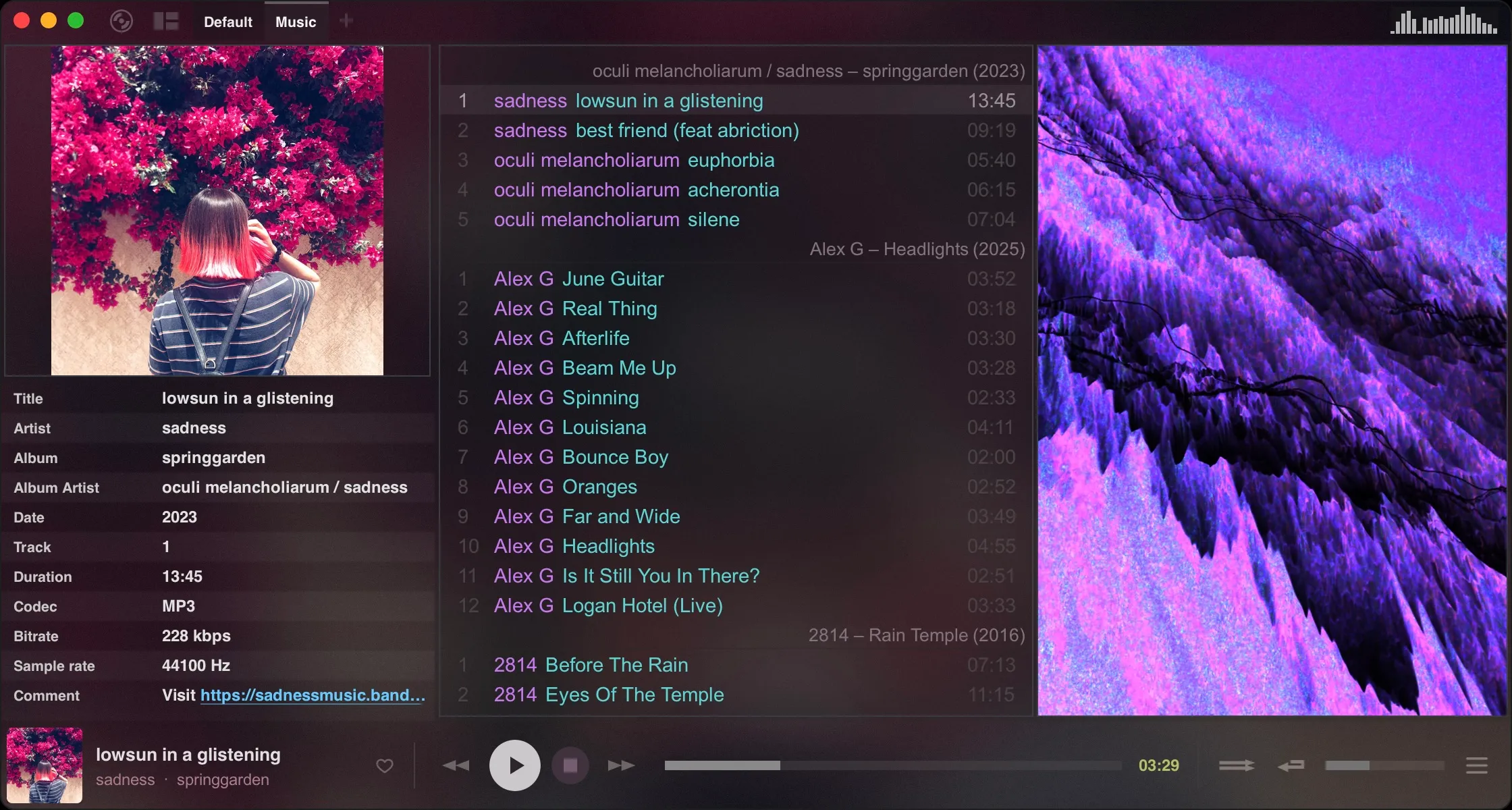 Tauon music player
