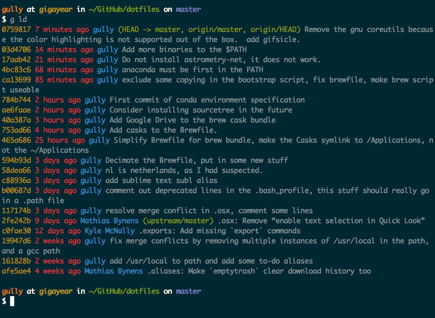 gully's terminal from nice dotfiles repo