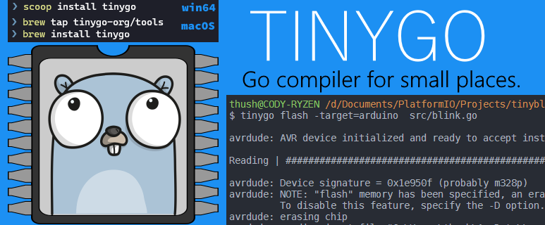 TinyGo