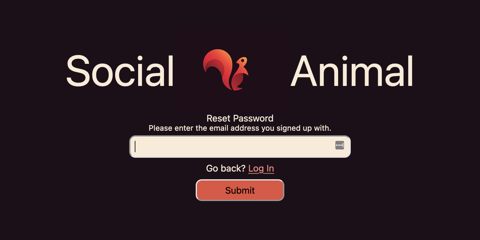 User password reset