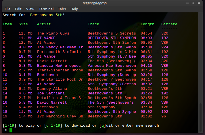 pms running in terminal