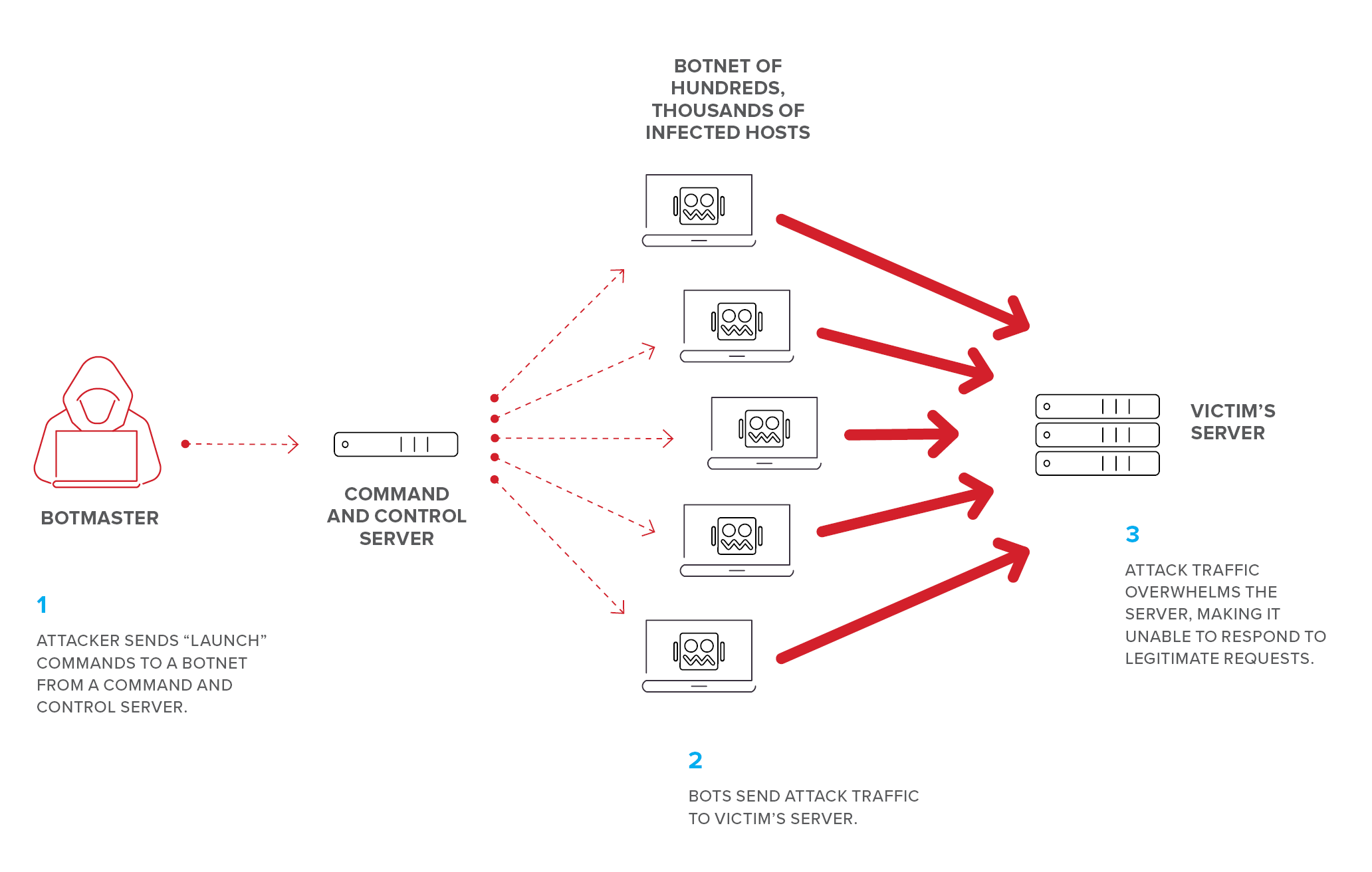 botnet