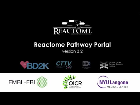 Reactome Pathway Browser 3.2 - Short introduction
