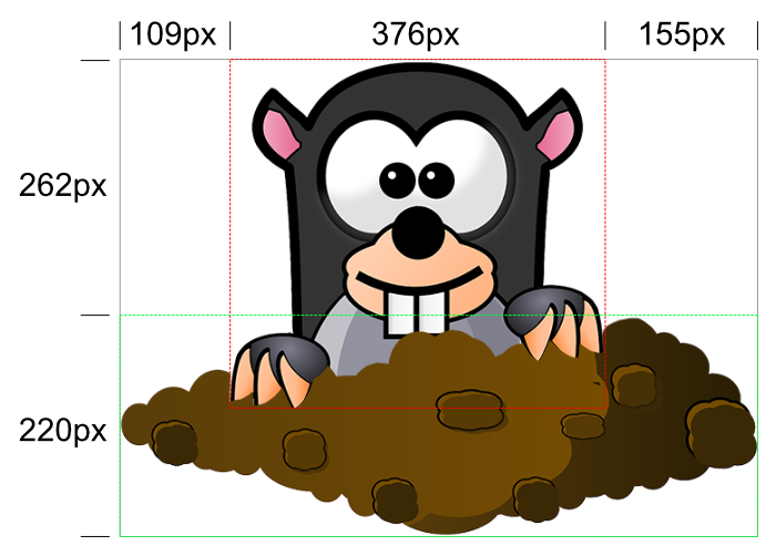 Mole image dimensions