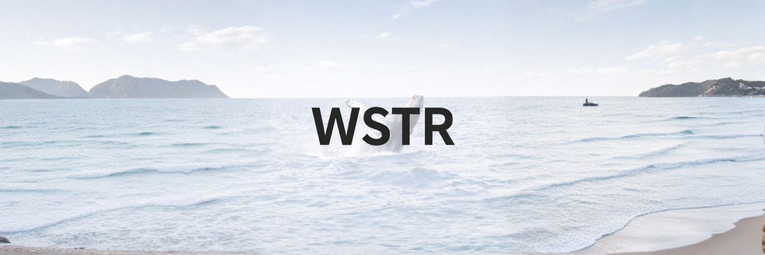 GitHub - WSTR-PUMP/WSTR-PUMP: Whale Strategy On Pump