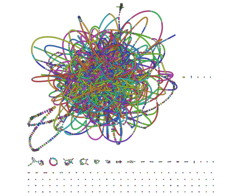 51-mer assembly graph