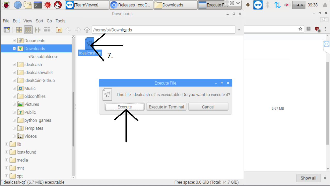 Left click the file idealcash-qt