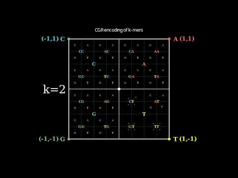 How are k-mers distributed for different k