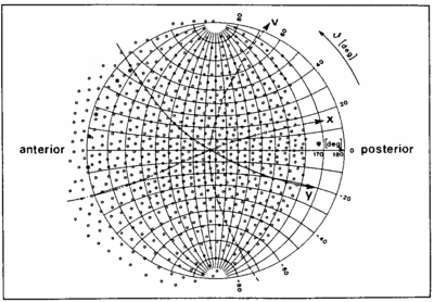 The Drosophila melanogaster eye map of Buchner (1971), as published in Heisenberg and Wolf (1984) on page 11, Fig. 2.