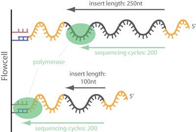 flowcell image