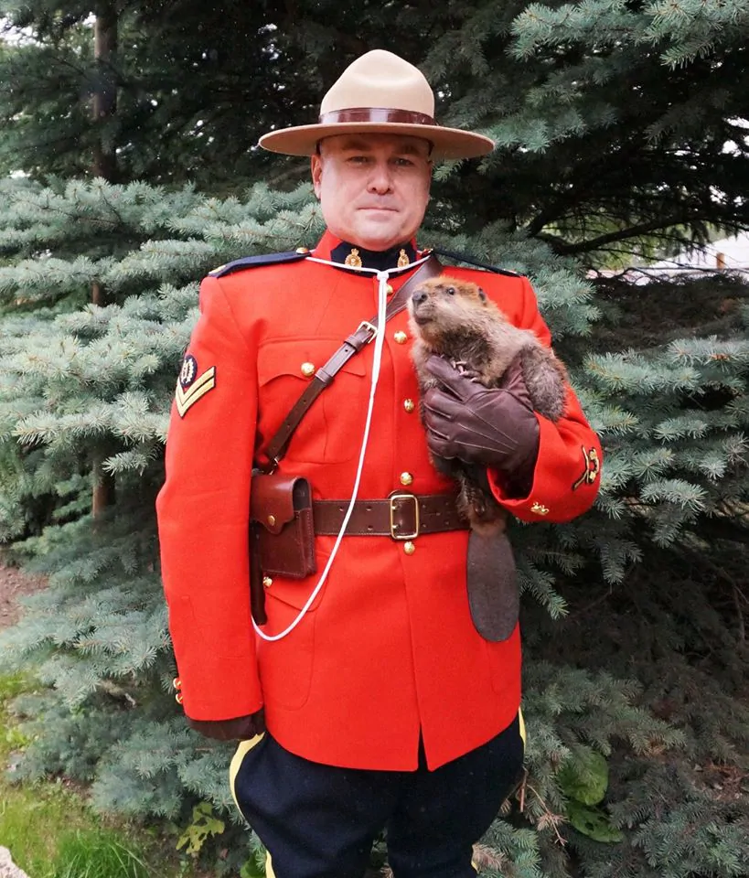 mounty-with-beaver image