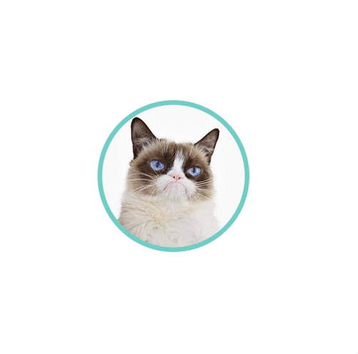 GitHub - joegesualdo/react-pulse-ring-animation: A pulse ring animation ...