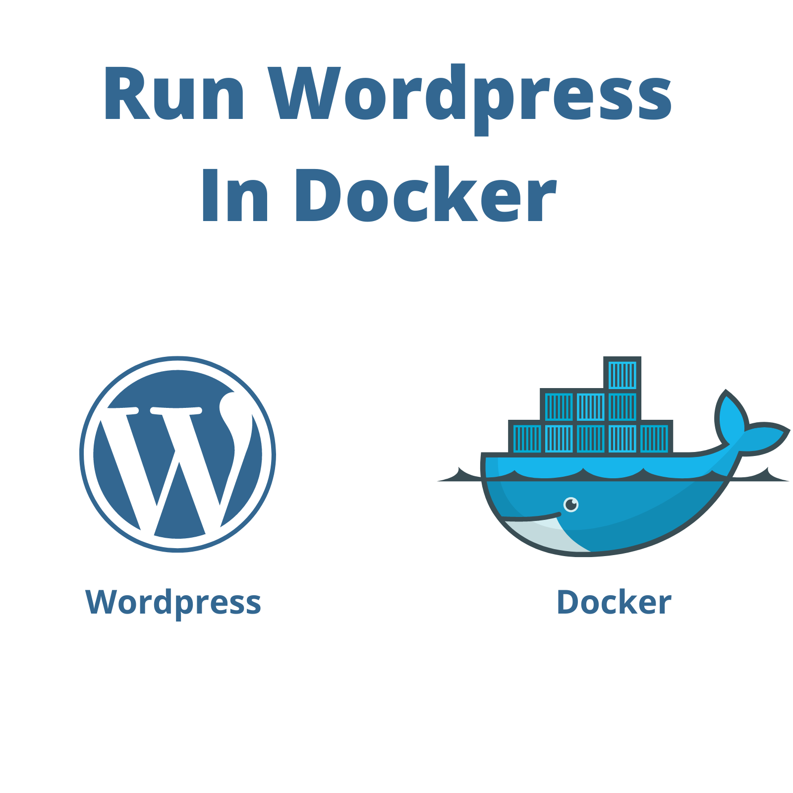 WordPress Docker