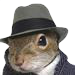 Shipit Squirrel