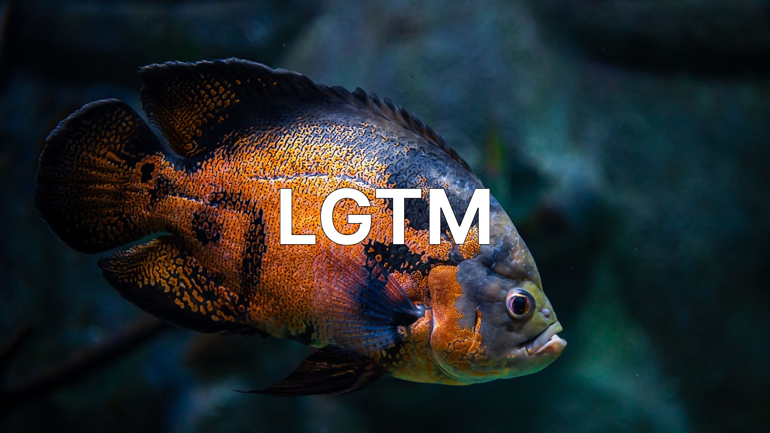 LGTM