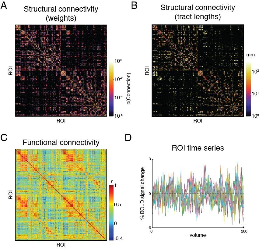 Figure 6. An example subject’s set of pipeline outputs for connectome-based modelling. These include (A) a weights matrix and (B) a tract lengths matrix from dMRI processing that capture the subject’s structural connectivity; (C) a functional connectivity matrix of Pearon correlation coefficients, and (D) the region of interest (ROI) time series from resting-state fMRI processing. The structural connectivity matrices are presented on a log scale to enhance readability. Ten ROIs were chosen randomly for presentation in (D).