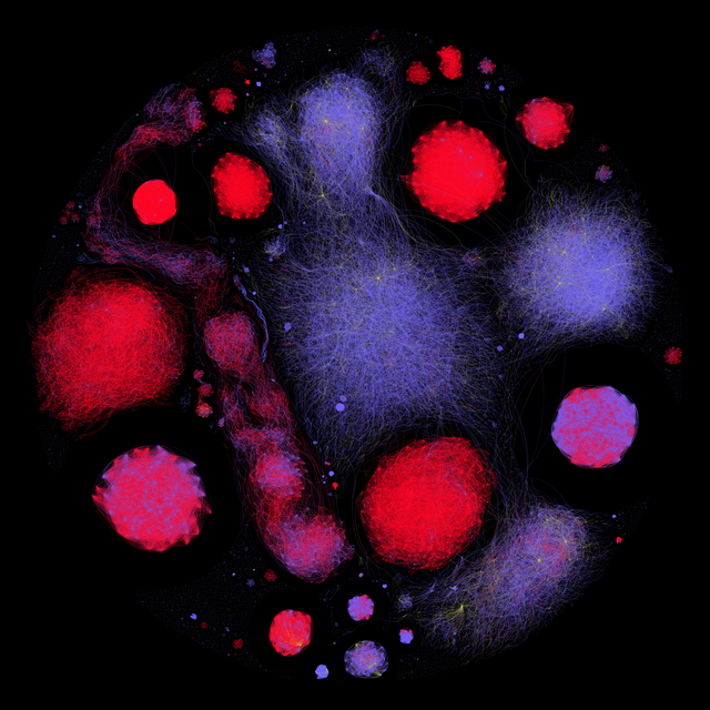 Network visualisation of a co-retweet network