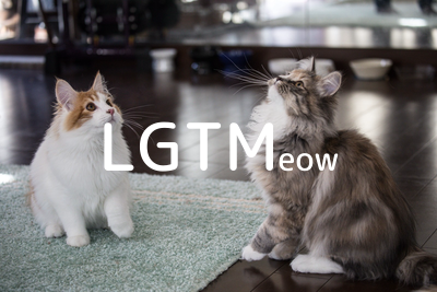 LGTMeow