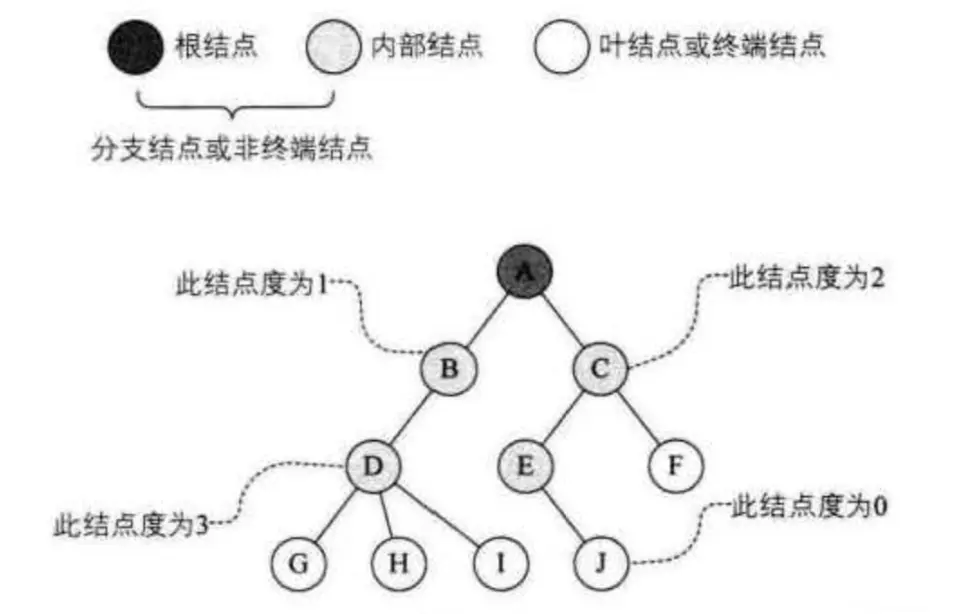 树结点