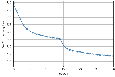 SwAV training loss batch_size=256 during the first 30 epochs