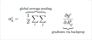 Grad-CAM 수식