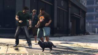 GTA Cat