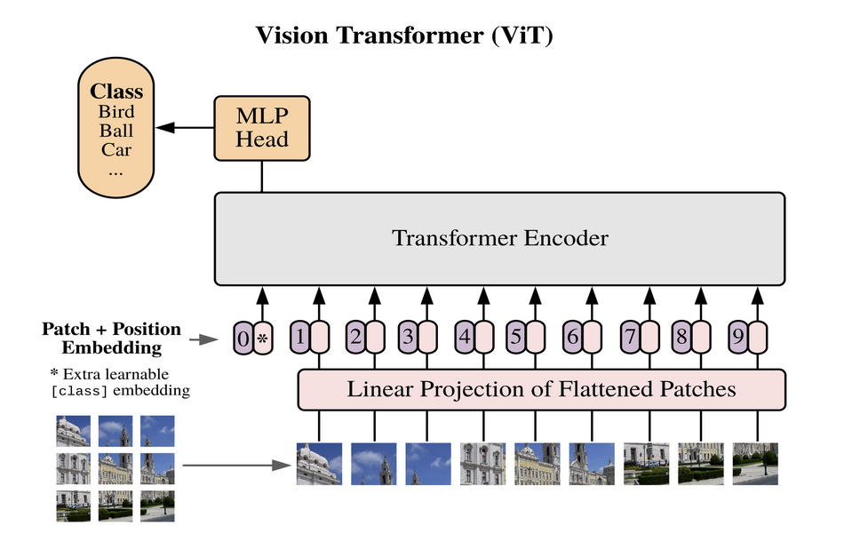 Architecture of Vision Transformer