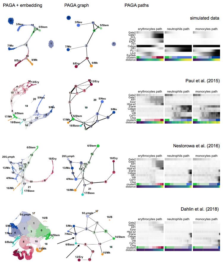 PAGA for hematopoiesis.