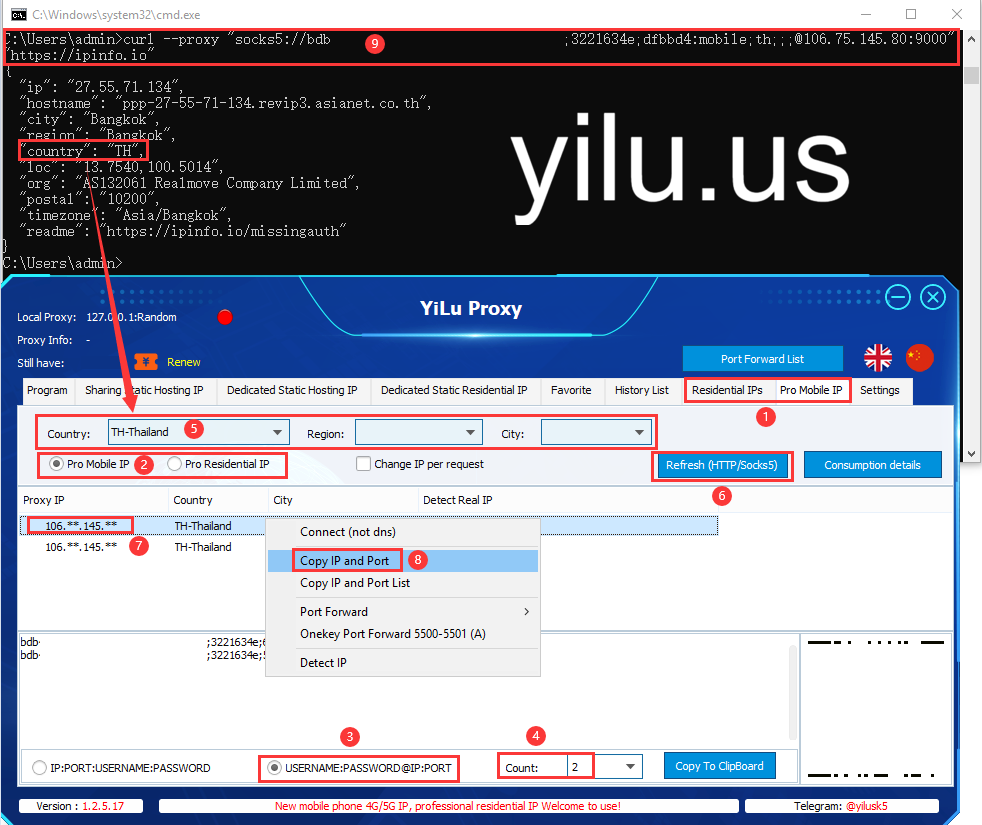 cURL with Proxy