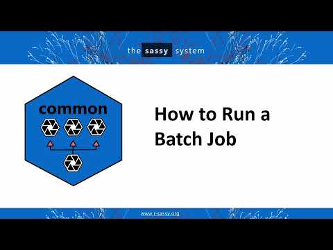 How to Run a Batch Job