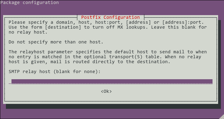 screenshot of relay host configuration screen