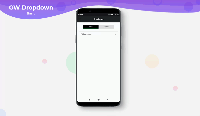 GF Flutter Dropdown Widgets