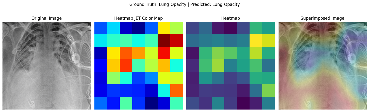 Activation Map Visualisation