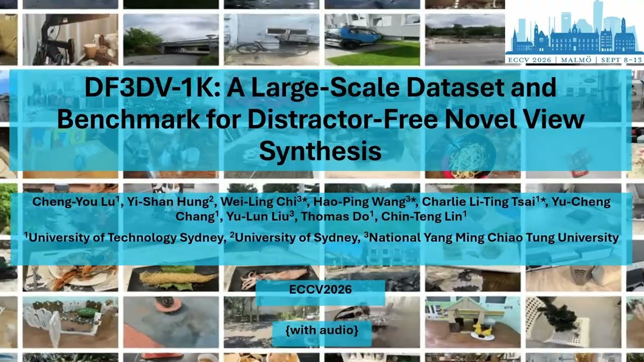 DF3DV-1K Introduction