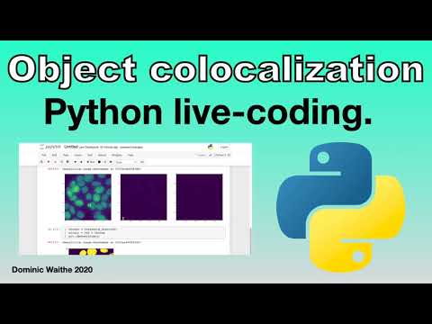 Object Colocalization