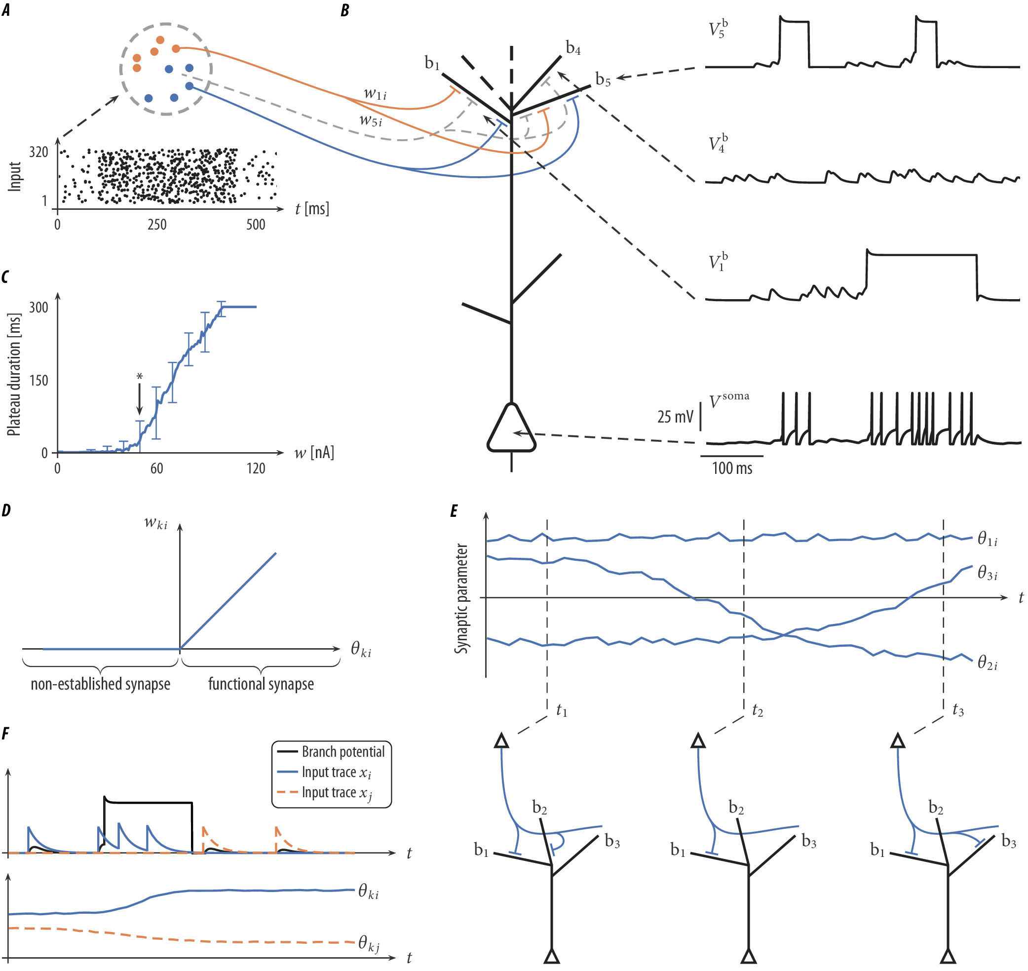 Schema neuron model and plasticity/rewiring