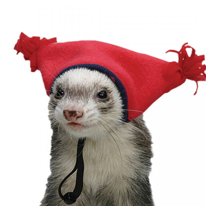 GitHub - gentiangashi/Harry-Bot: Harry Bot is a general-purpose discord ...