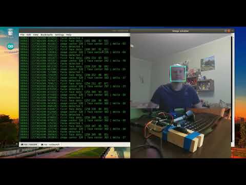 Face tracking example